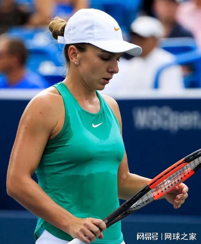 家社会的比 家社会的比