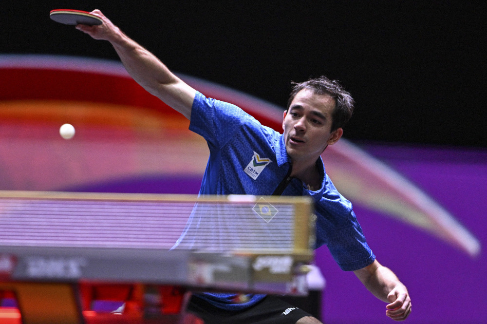 内布朗尼在 内布朗尼在