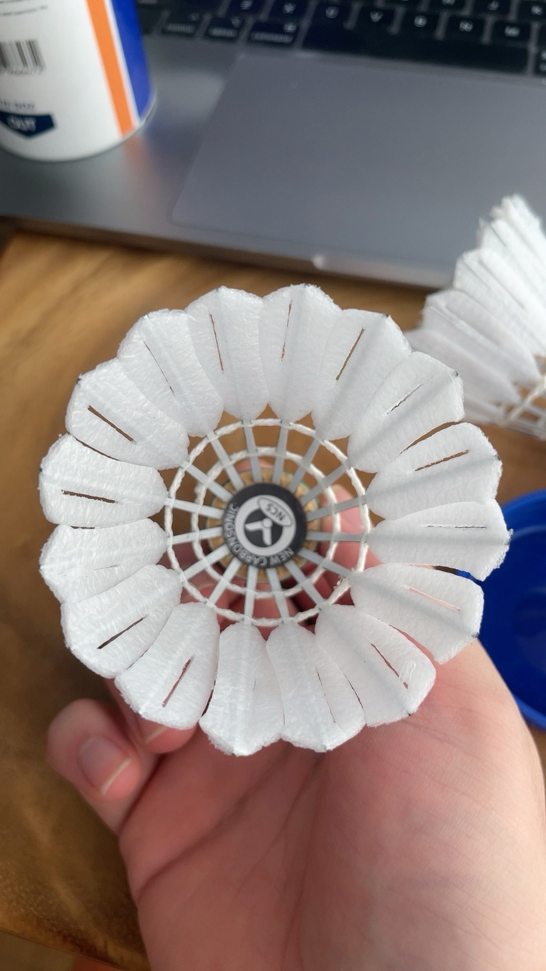 多样的文化 多样的文化